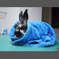 Экзотические клиенты