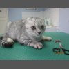 Гламурррные коготки!