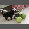 Нашим деткам 1 месяц!