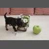 Нашим деткам 1 месяц!