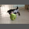 Нашим деткам 1 месяц!