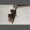 Нашим деткам 1 месяц!