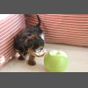 Нашим деткам 1 месяц!
